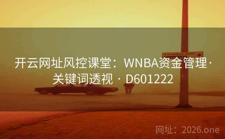 开云网址风控课堂：WNBA资金管理·关键词透视 · D601222  第2张