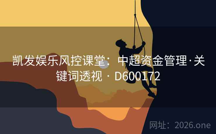 凯发娱乐风控课堂：中超资金管理·关键词透视 · D600172  第2张